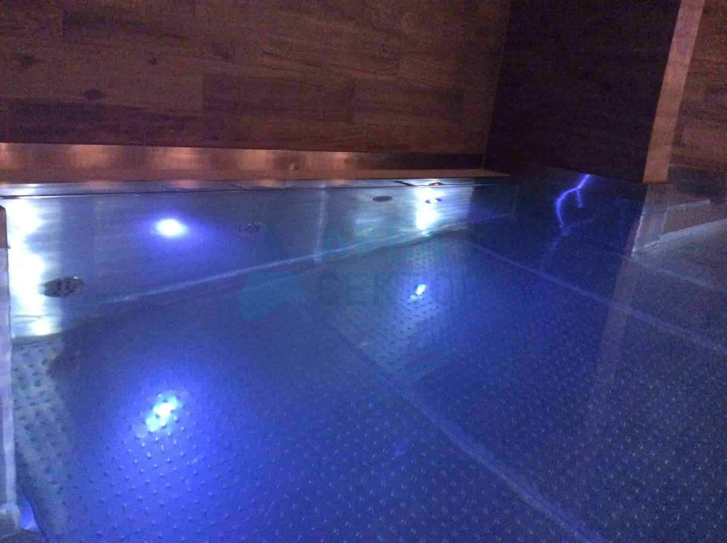 Swimming pool in hotel  LYDIA (Tartu city)